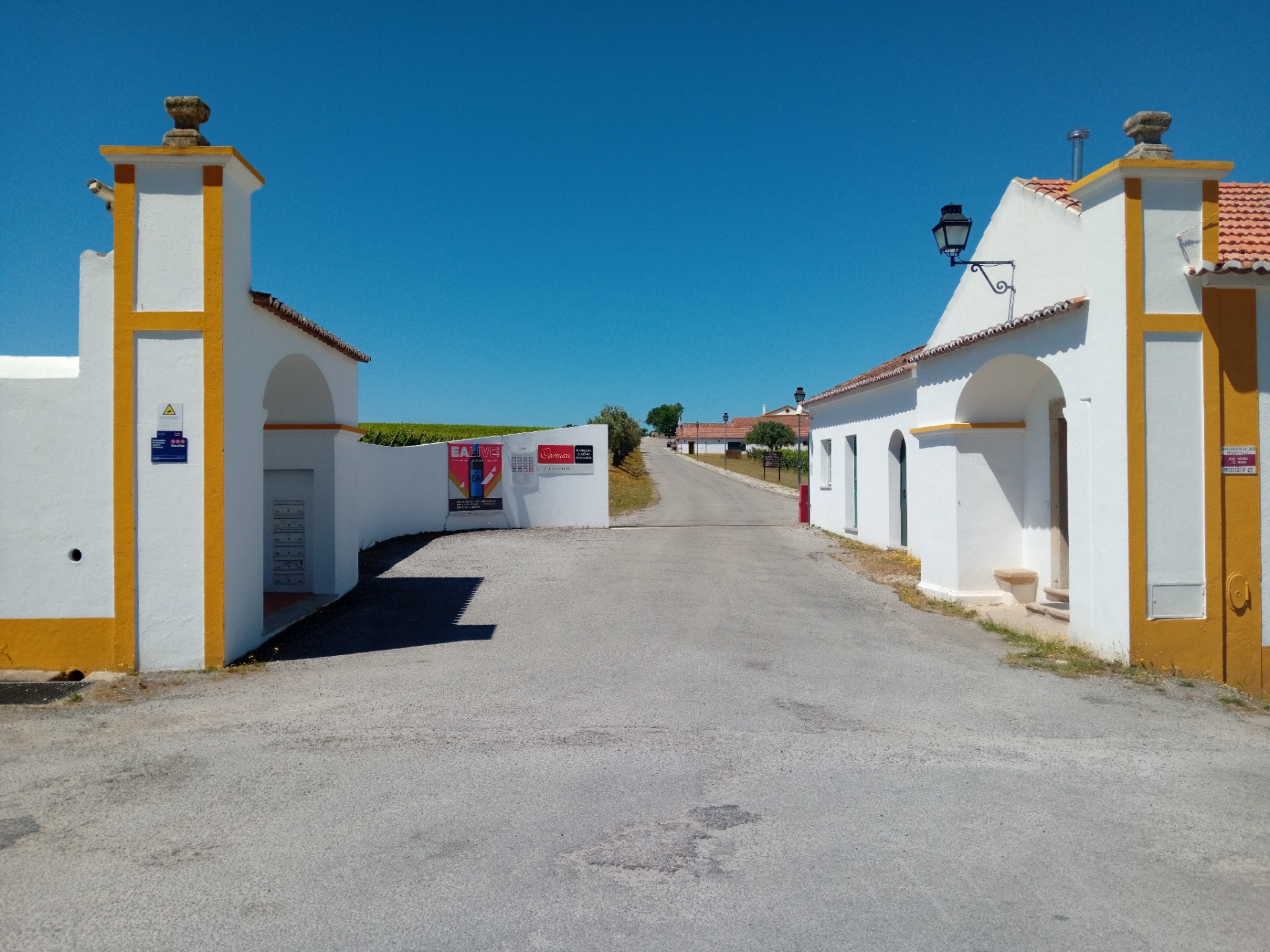 Herdade da Cartuxa - Évora