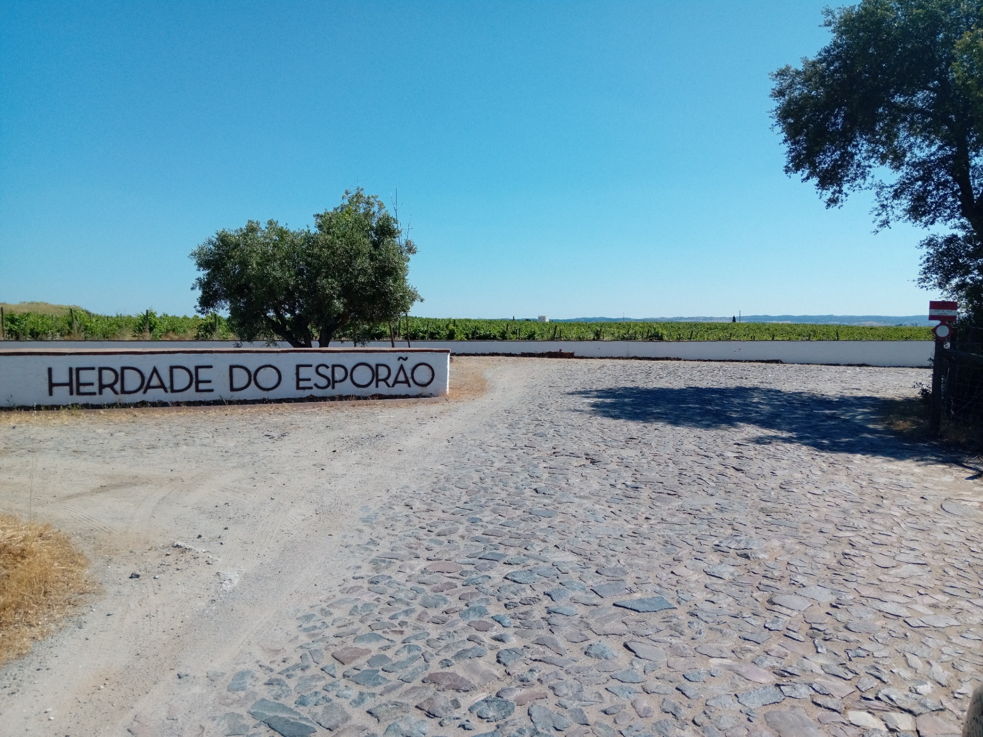 Herdade do Esporão - Évora